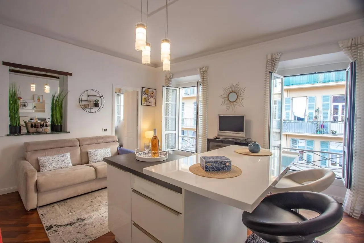 Superbe Appartement, Plein Centre De Nice